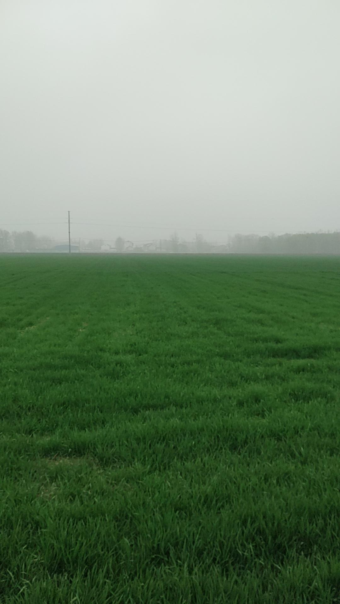 昨晚我哥打电话说想承包老家三百多亩农田，问我感觉咋样，我在老家没做过几年农活，更