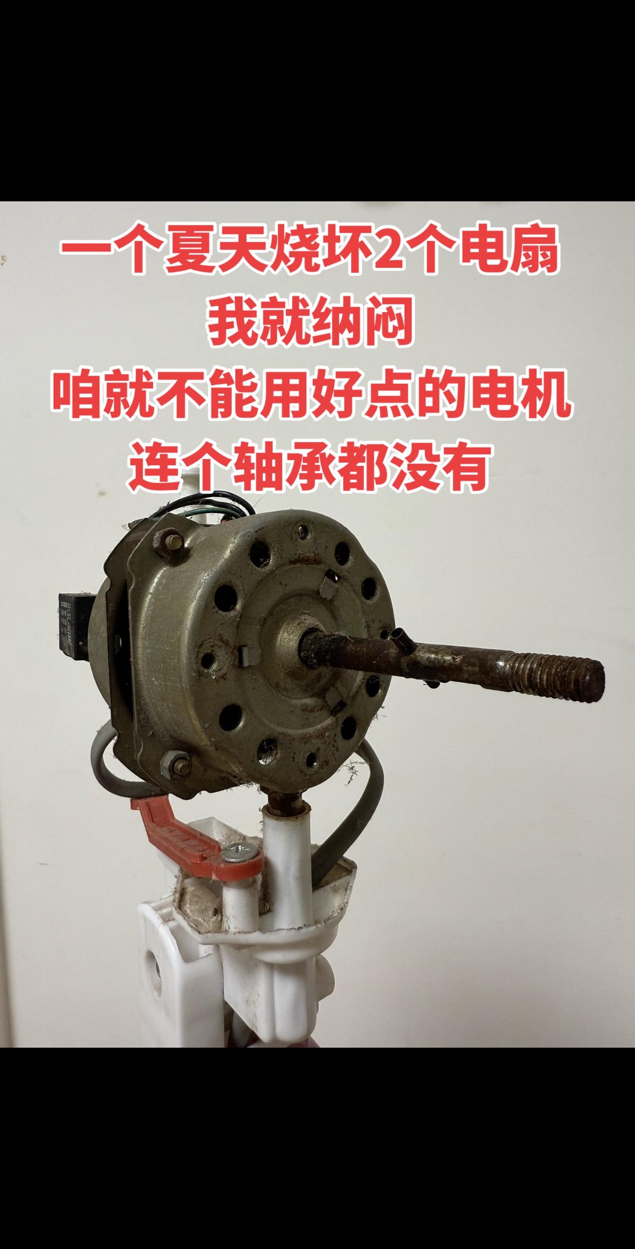 真的服了！一整个夏天居然烧坏了2个电扇😤
我就特别纳闷——咱就不能用点好电机吗