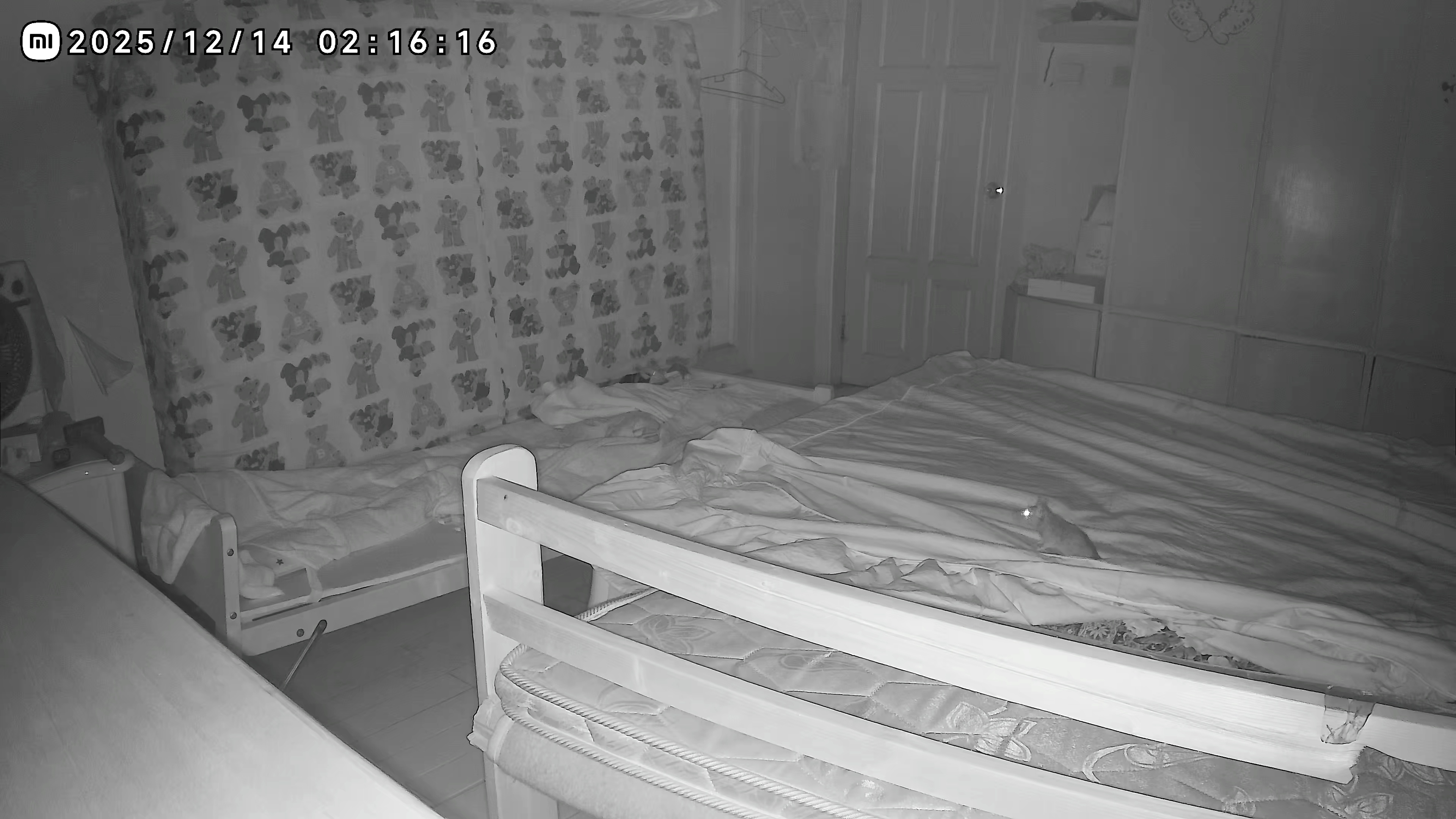 我爸看了老鼠在卧室床上床下跑来跑去的监控，表示不能忍。我帮他找了灭鼠公司，他们讨