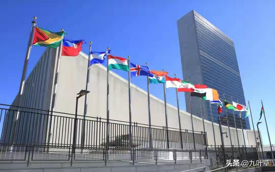 全人类的悲剧！80%人类民意居然敌不过2%霸权，联合国真的彻底形同虚设！
今天最