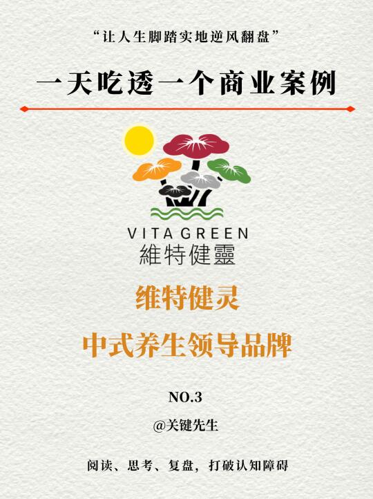 一天吃透一个商业案例 NO.3 维特健灵
