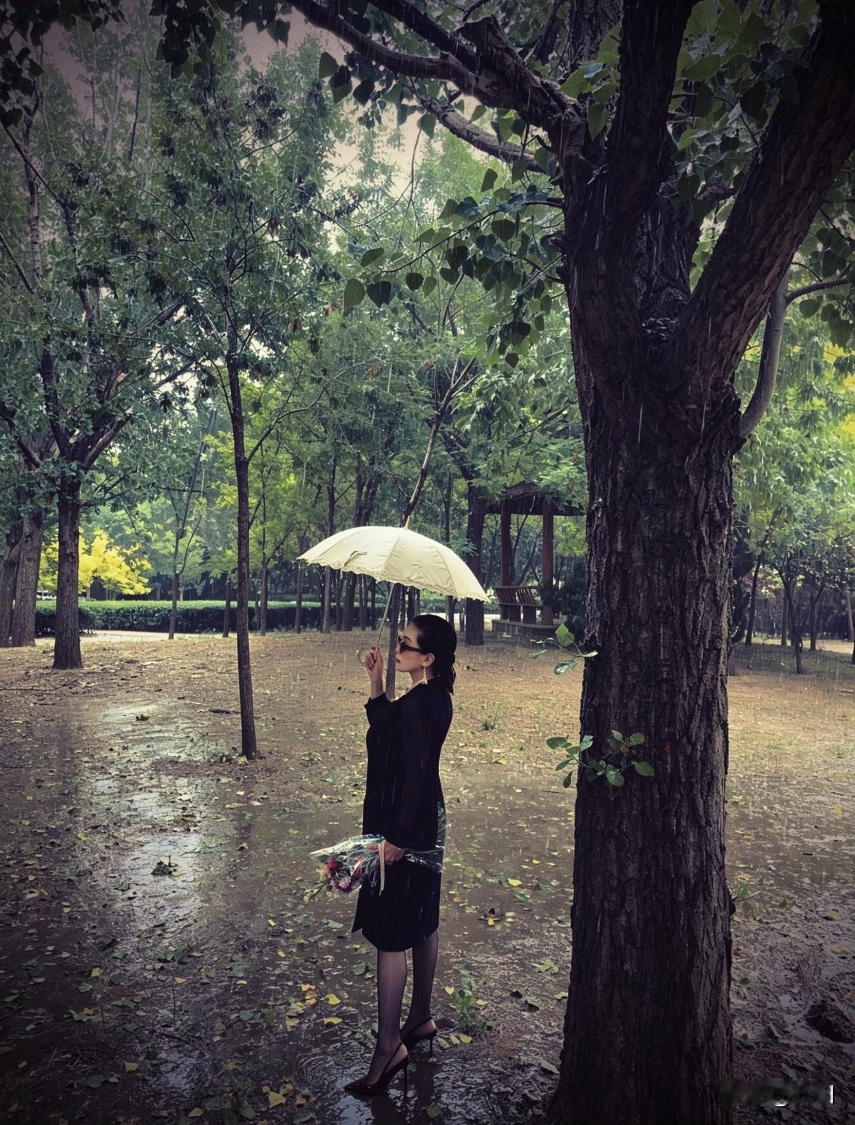 撑伞的美照雨中花影动，伞下人如画。