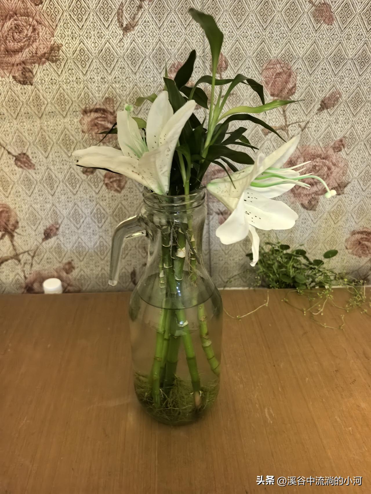 人间清醒！ICU医生留下临终宣言：绝不插管抢救，只求体面落幕
 
见惯生死的IC