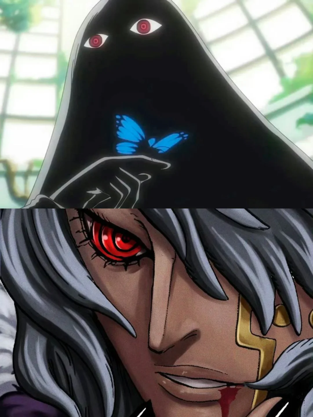 尾田你认真的吗？