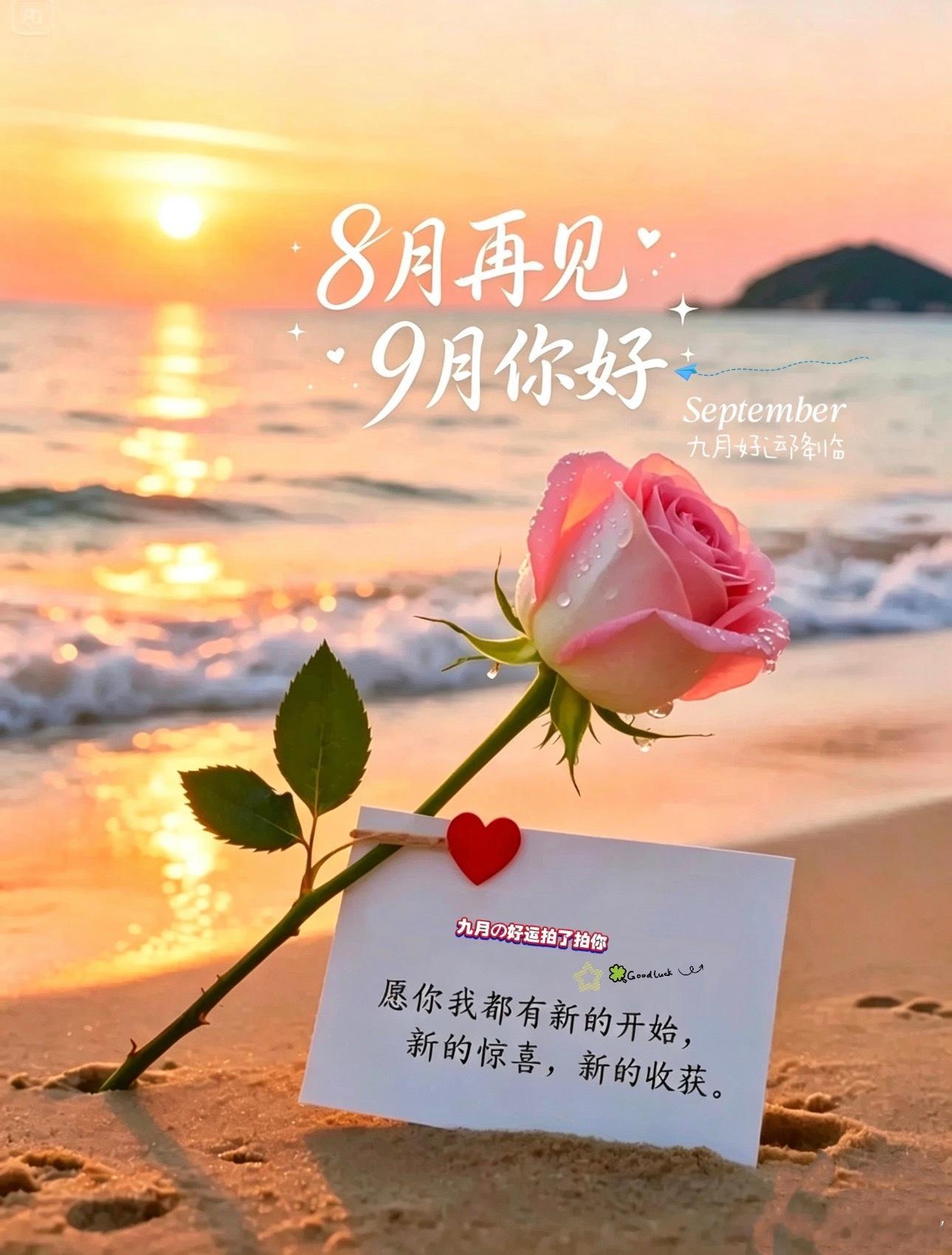 ✨🌷夏尽秋来，时光辗转，一转身便和八月说再见。愿所有的奔波都有归期，所有努力都
