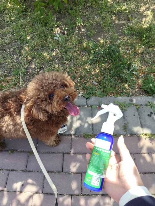 🌞救命！！谁懂啊！！天气终于回暖啦！！