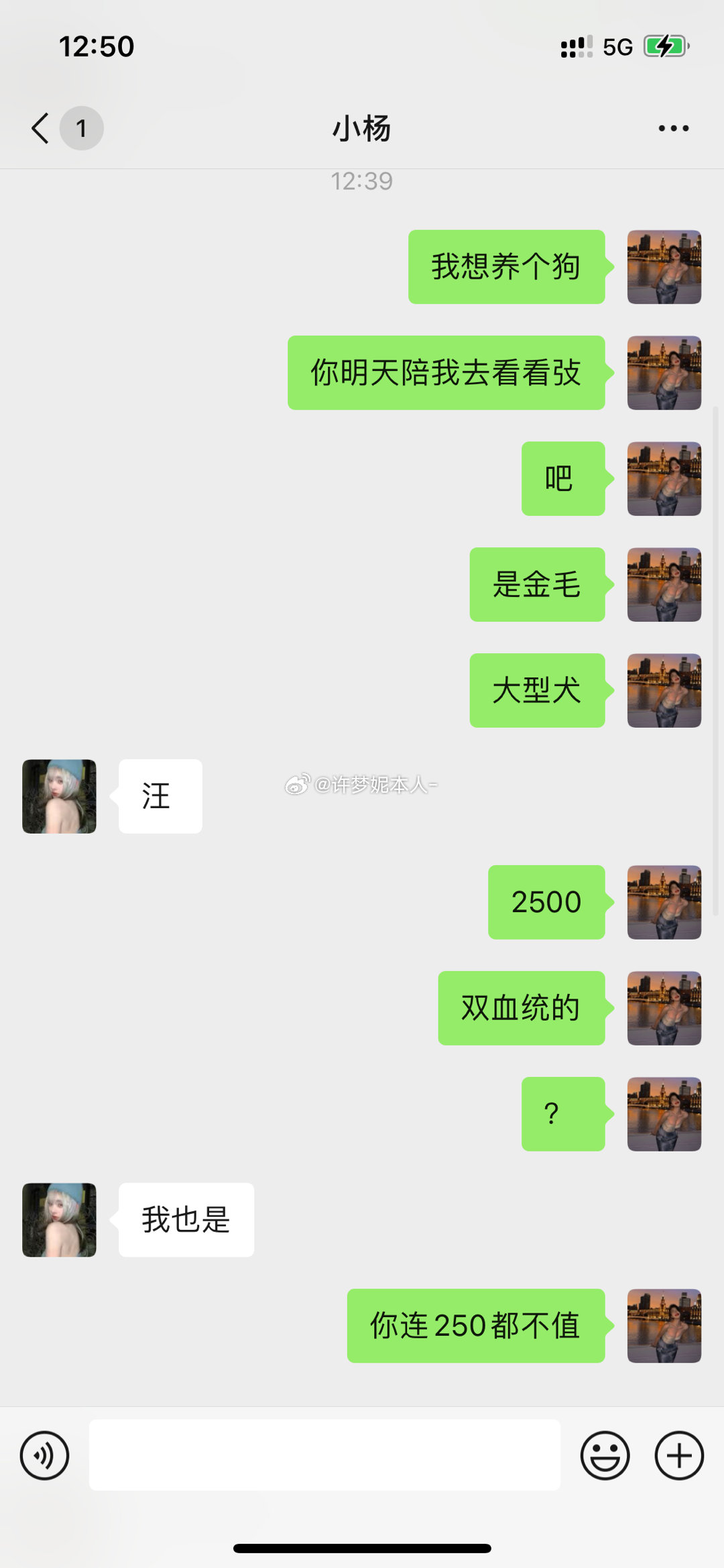 我这么爱狗的人第一次弃养狗[作揖] ​​​