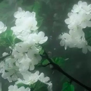 每日一善 🎀阳光信用 🎀每日一善 ☀️极好784，🉑蹭  ，🉑虎指路🈲