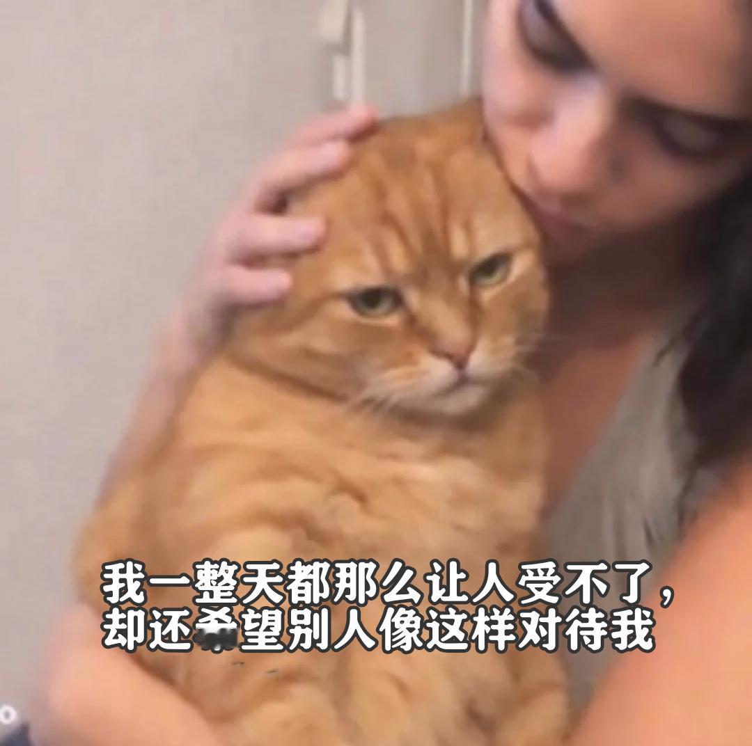 嗯。meme ​​​