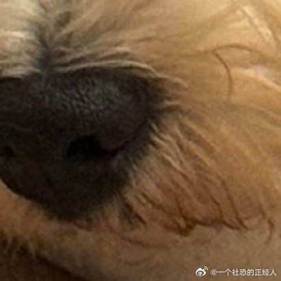 每日一善每日一善阳光信用 每日‬一善你好一起保护大自然与社会携手做公益关爱唇腭裂