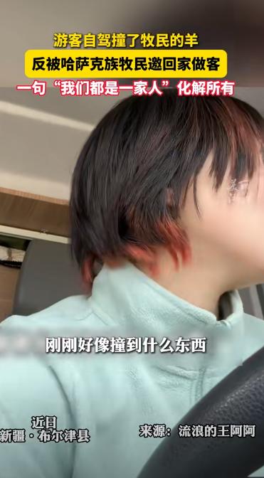 太暖心了！新疆，一女子去阿勒泰旅游，找露营地时不慎撞伤了牧民家的一只羊，看到羊主