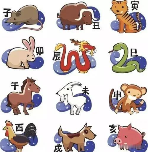 中国人的骨子里
都藏着一份生肖羁绊
 
出生那年的属相
是刻在命里的印记
更有专