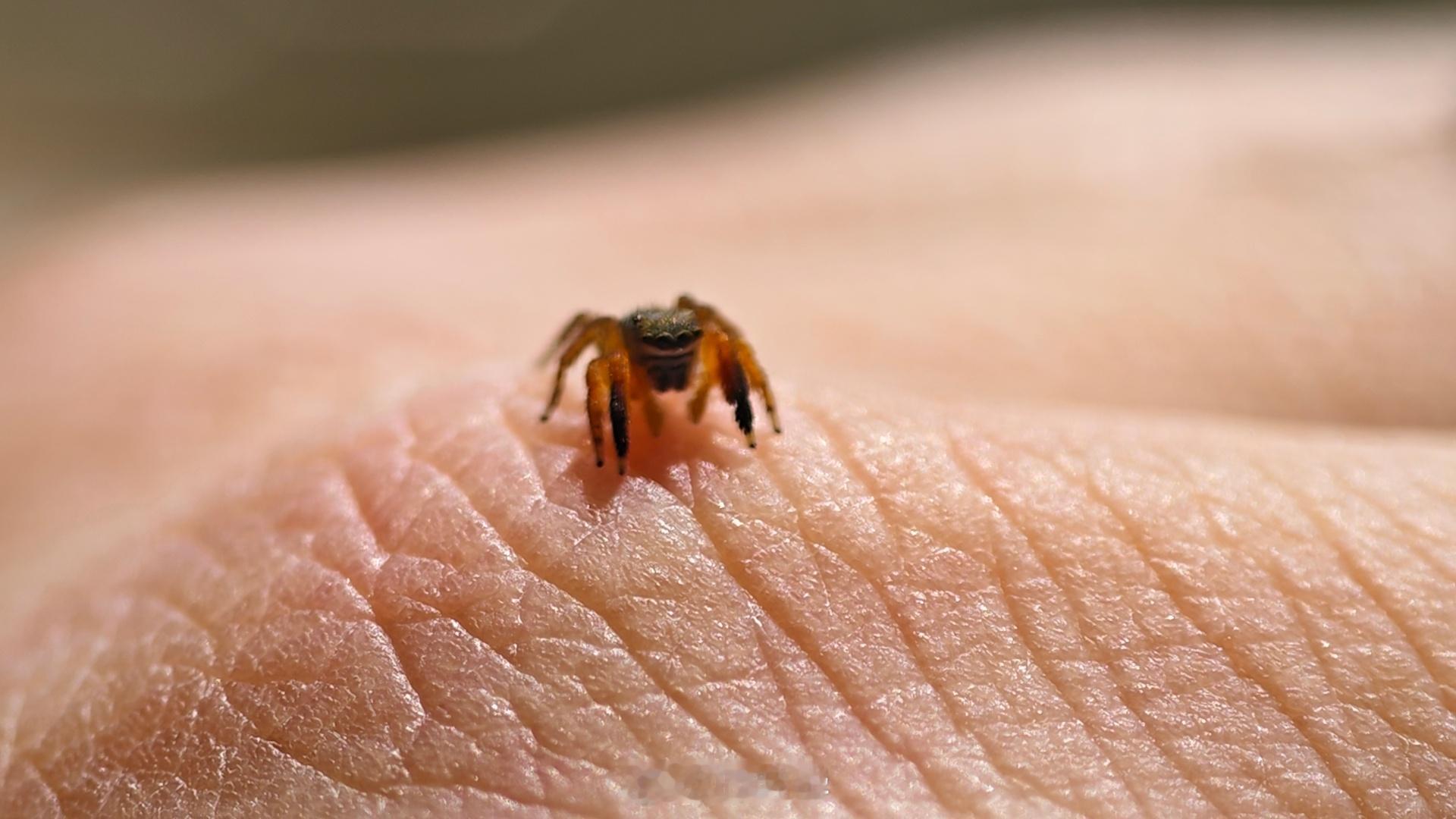 2026年4月28日，晴今天的经历太神奇了，我误打误撞的跳进了智者说过的白色矿坑