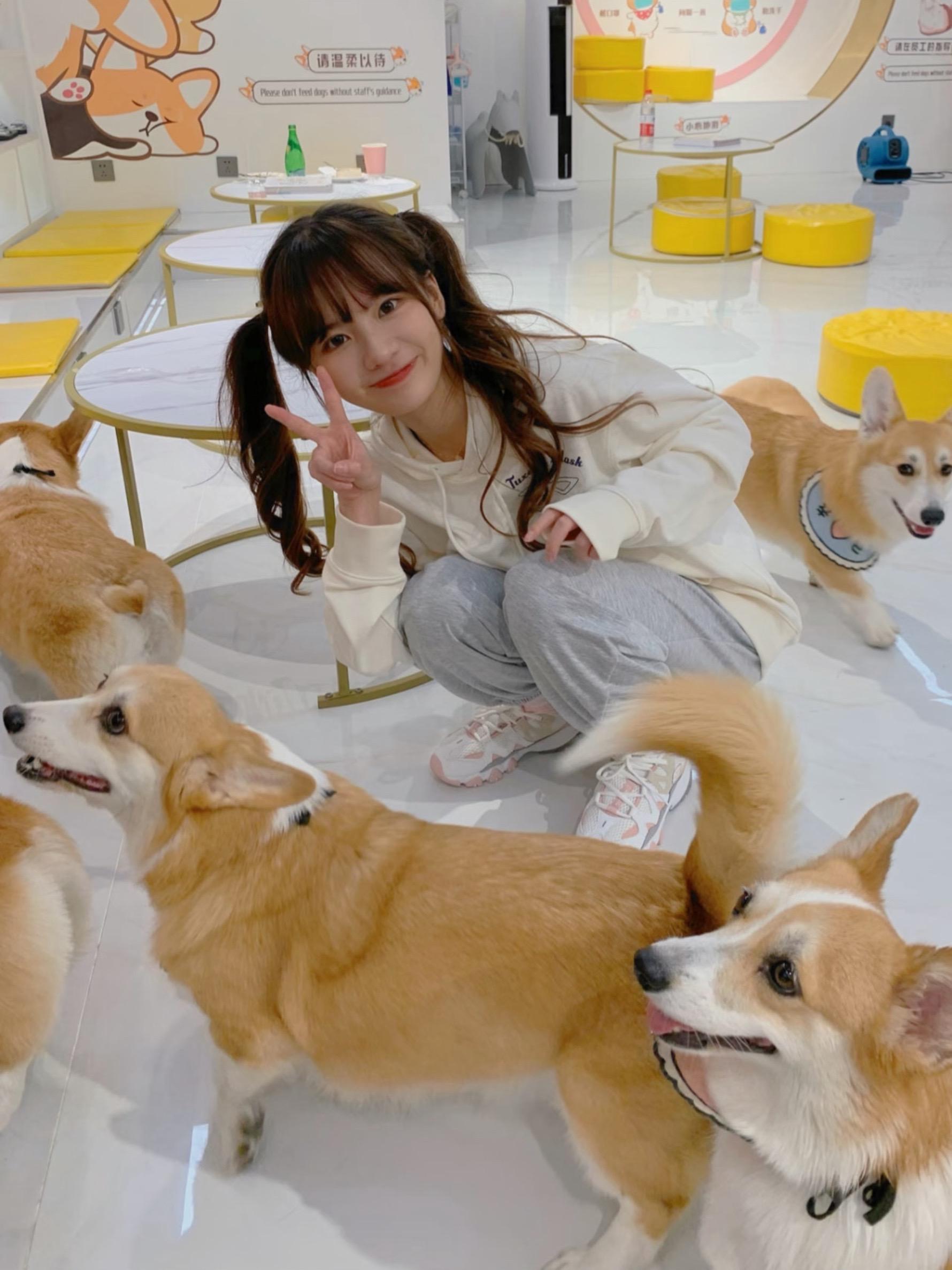 小狗和小狗大王驾到😎  💥