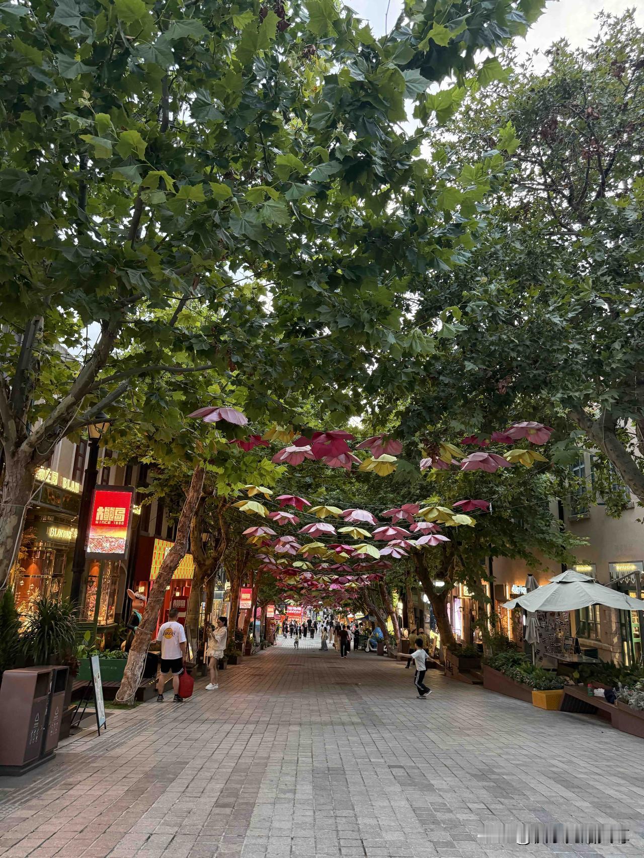 我昨天上午没去青岛中山公园而是在家里陪着宝宝，上学了白天没时间在一起了，晚上我去