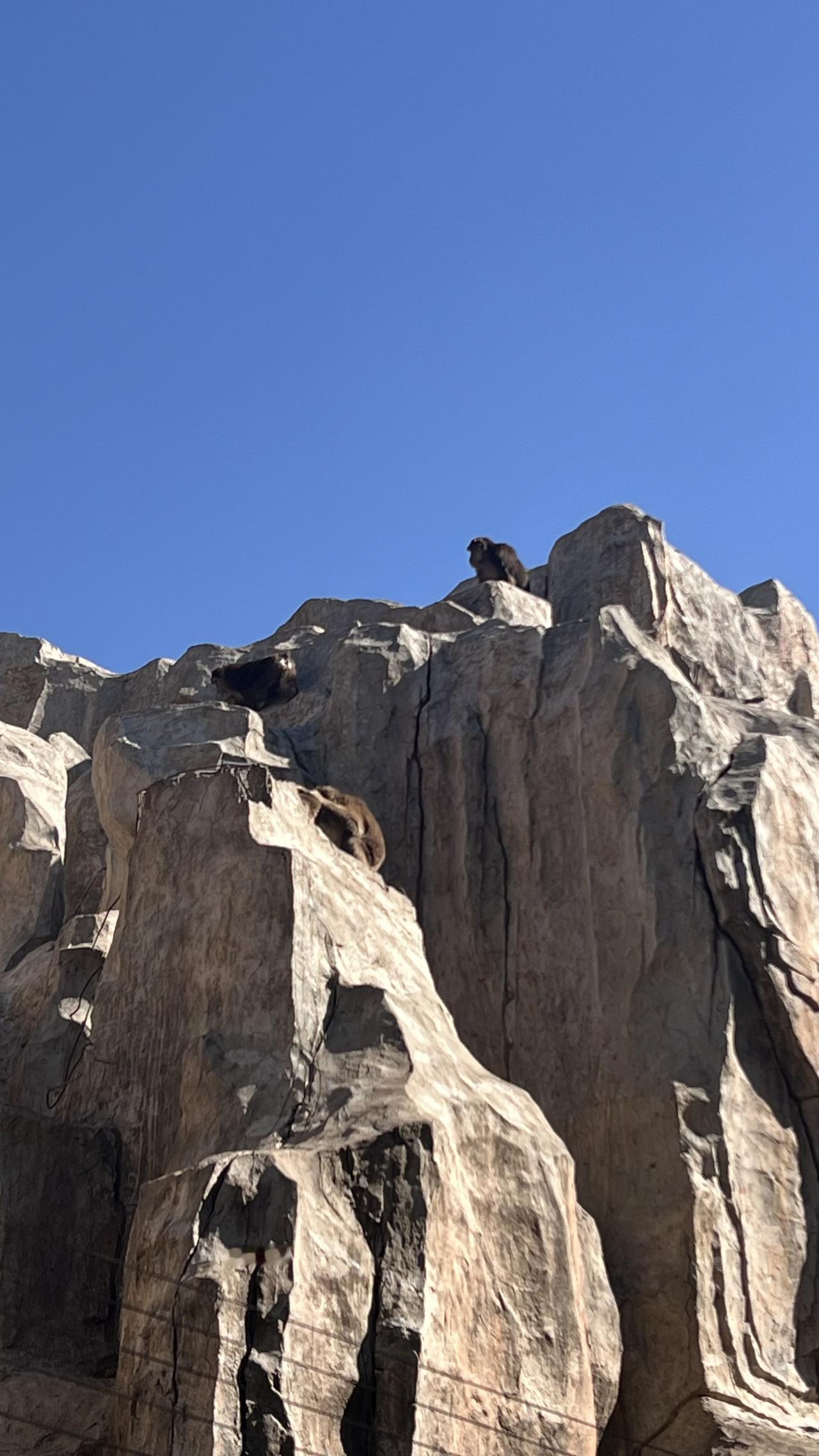 人生其实很短暂 ，不知不觉地就走过了大半生，愿你拥抱自己，活出精彩的自己，别让美