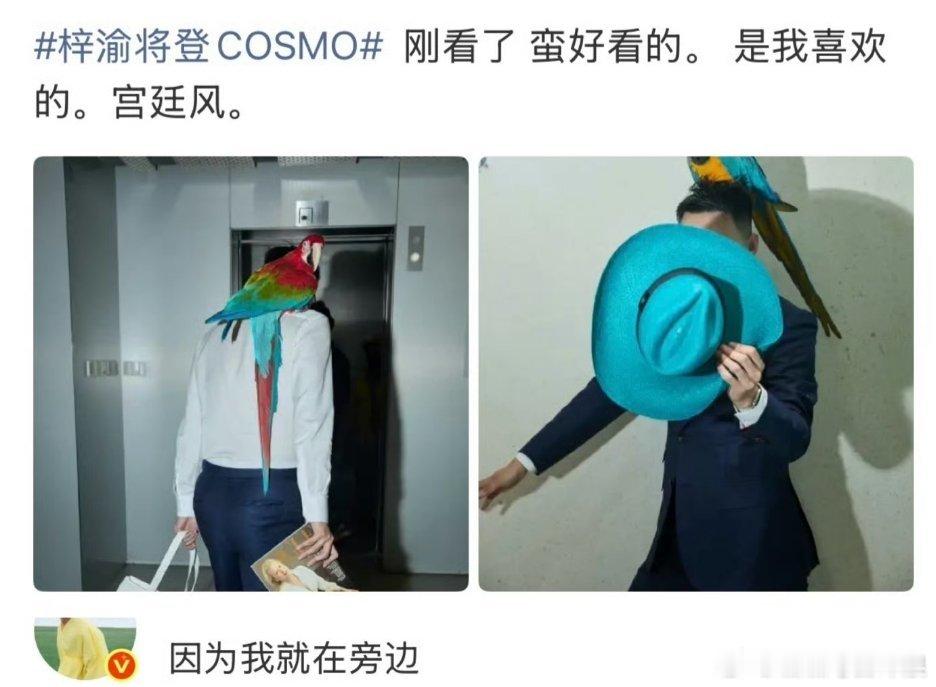 梓渝解锁首本五大杂志《时尚COSMO》，风格是宫廷风！梓渝时尚价值好高，登五大杂