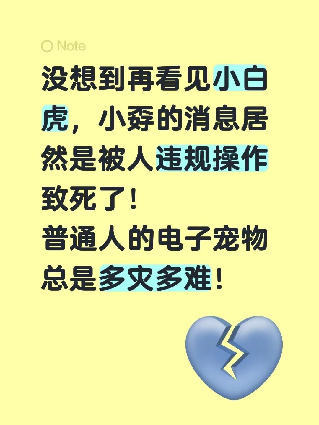没想到再看见小白虎，小孬的消息居然是被人违规操作致死了！普通人的电子宠物总是多灾