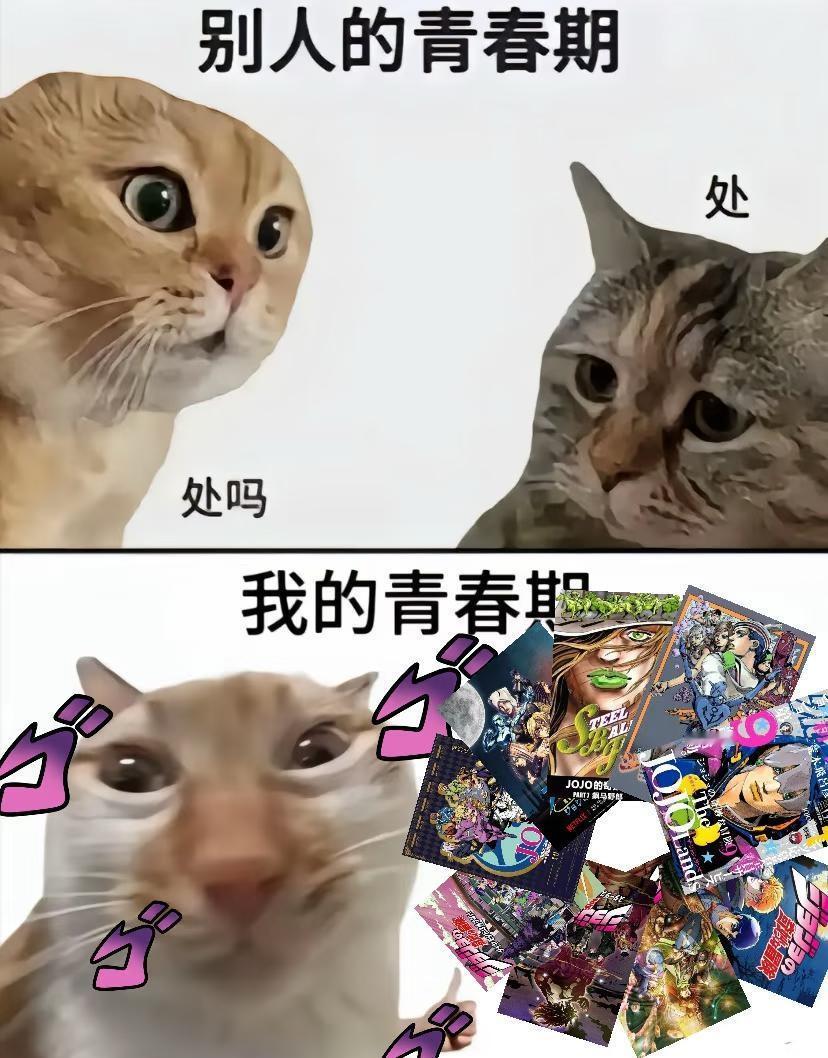 我的青春期就这样度过
梗图我的青春期vs别人的青春期 jojo的奇妙冒险