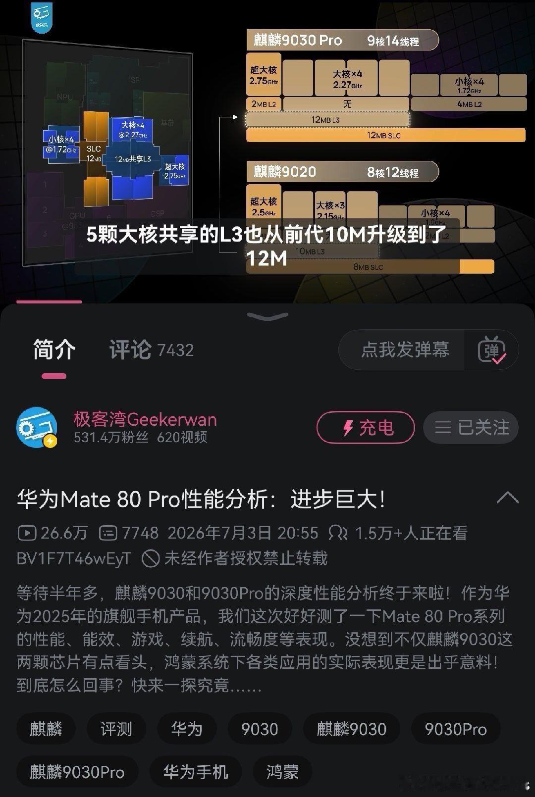 审核了小半年的视频，值得一看（会有人黑这是“特调”么） 