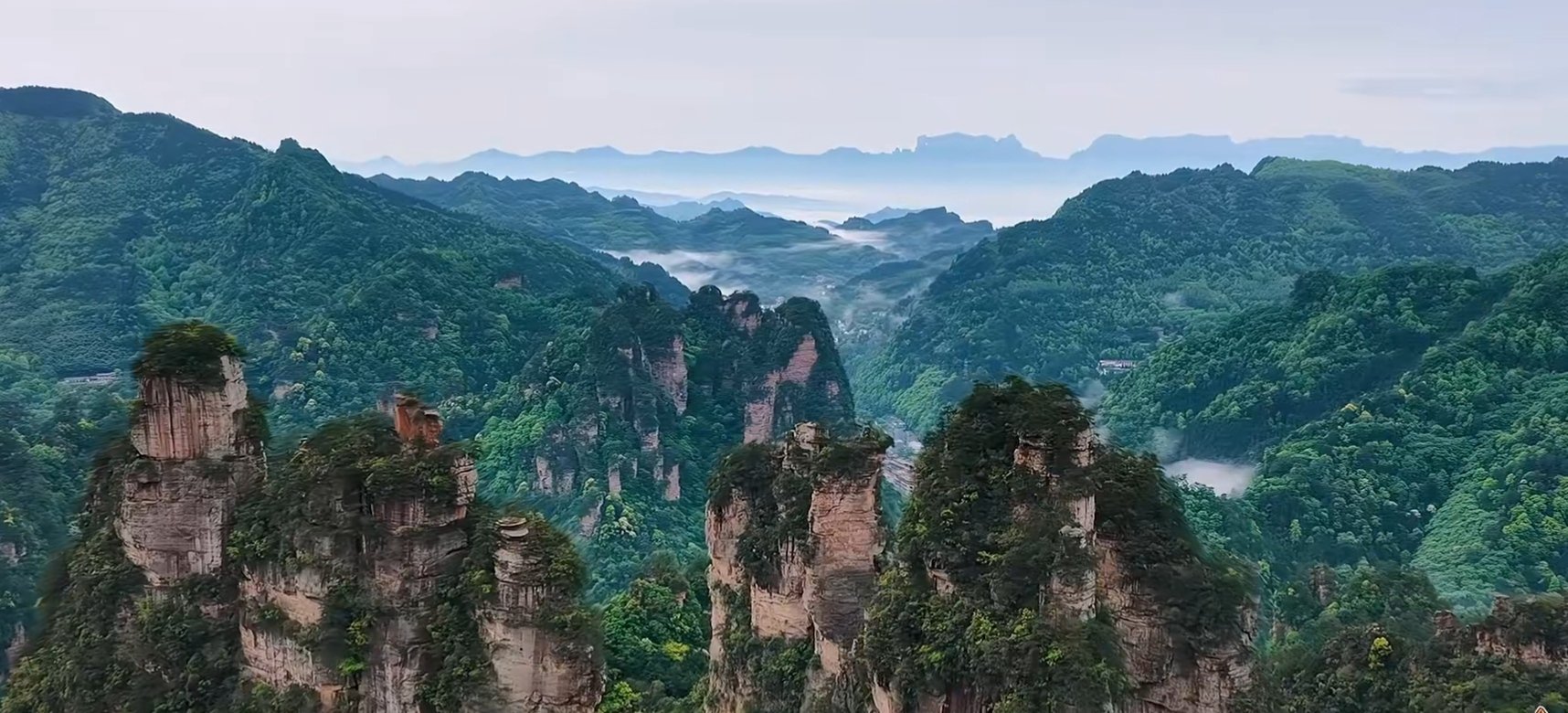 不必追赶别人的脚步，你走的每一步都在铺属于自己的路。今天的小坚持，终会变成明天照