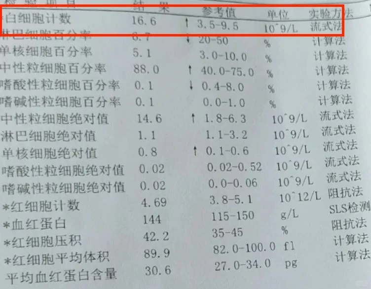 白细胞这个数，不用说都知道是什么情况了