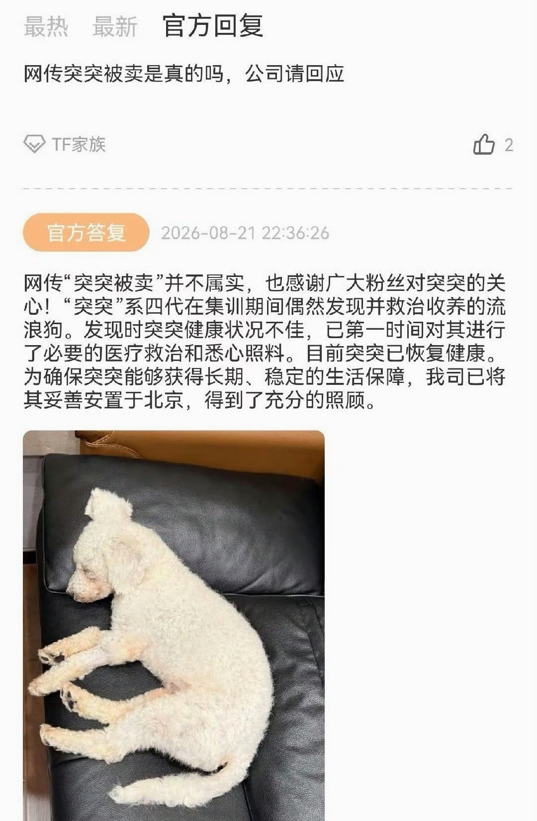 曝时代峰峻工作人员卖流浪狗时代峰峻澄清没有弃养流浪狗！又哪个装b的胡说八道……还