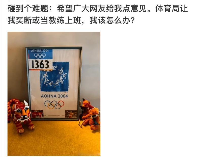 2004年雅典奥运会，刘翔拿着1363号号码布站上领奖台；22年后，这块号码布再