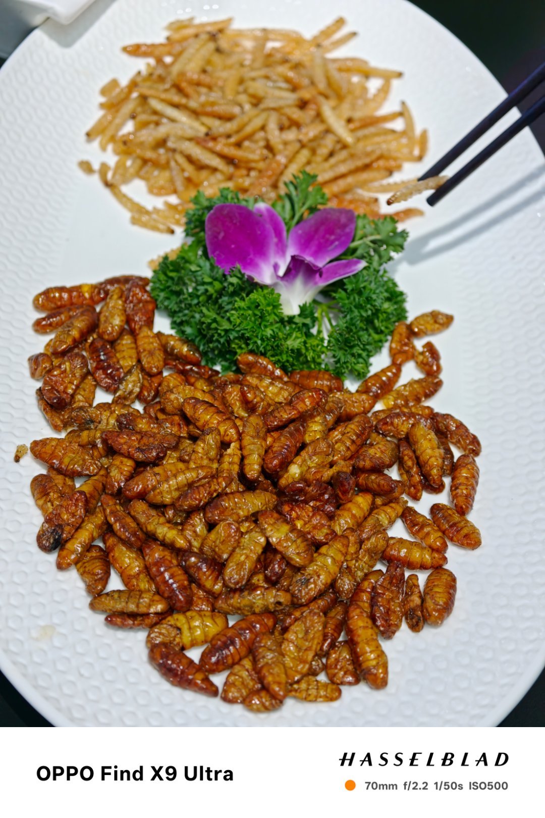 吃了没 