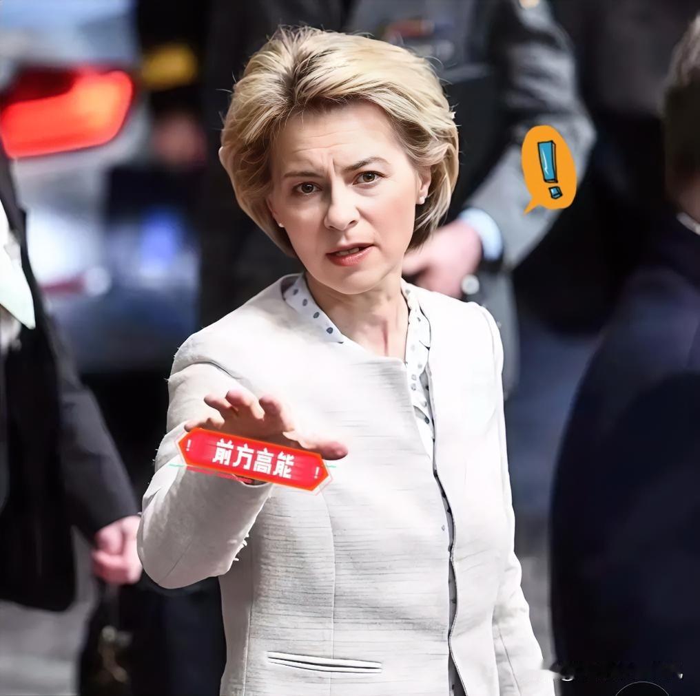 快讯！快讯！
              欧盟委员会重磅澄清！
      
