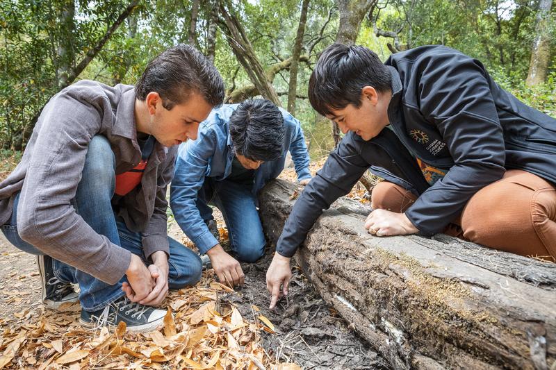浙江17岁高中生胡家豪发现新物种“括苍山脊蛇”并联合发文登上SCI，这事儿一出来