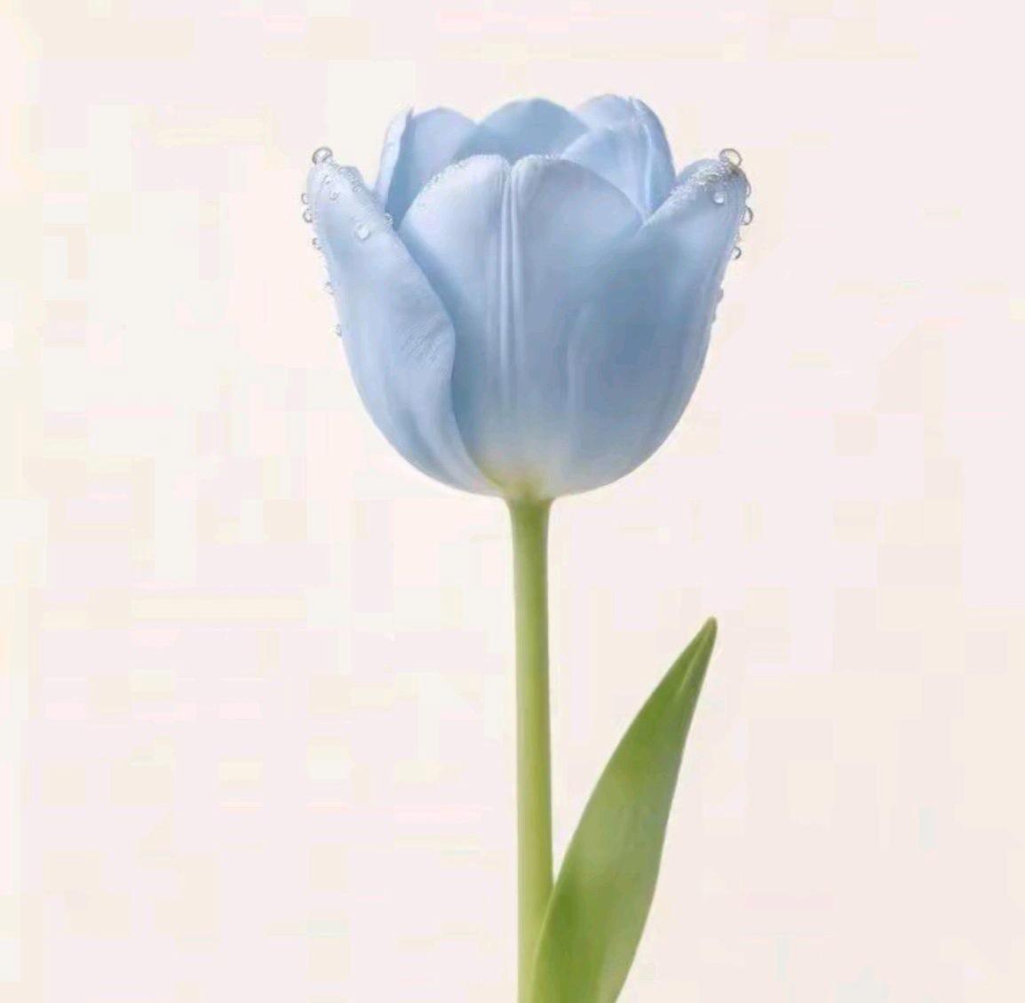 你混得越好，
你的人脉圈子，
会越来越大，
你的人脉圈子，
在原来的基础上，
不