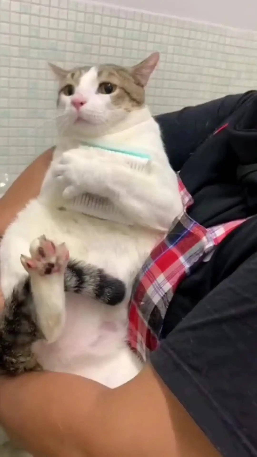 一脸委屈的看你拿走