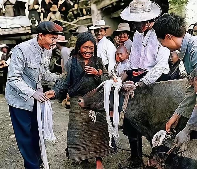 1959年，西藏堆龙德庆县南岗村，一位农奴姑娘分得了一头母牛和小牛崽，她衣衫褴褛