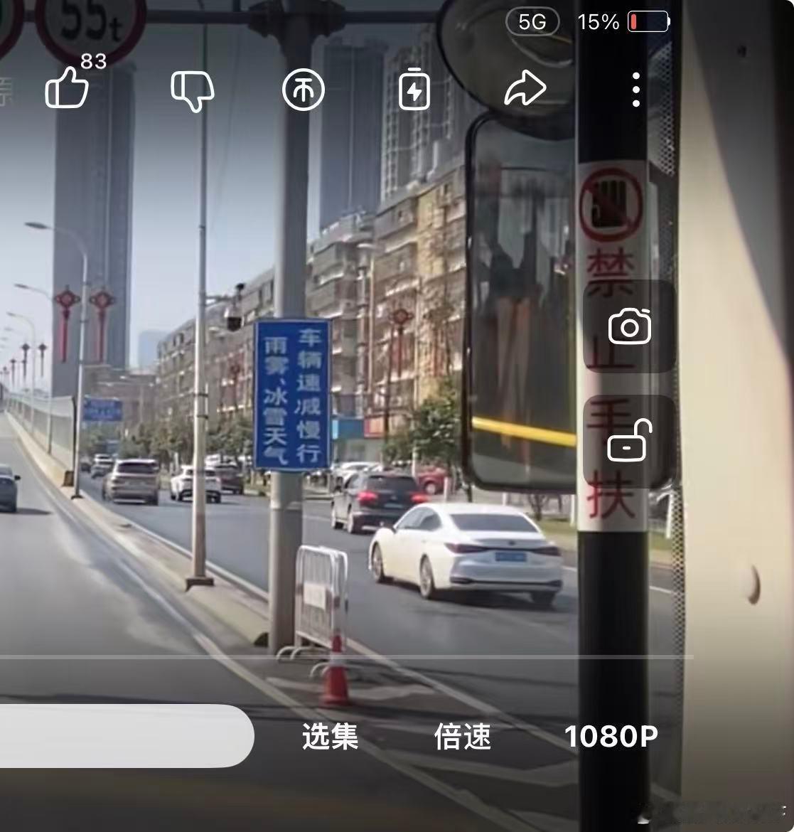 牌子是真的长这样大v聊车