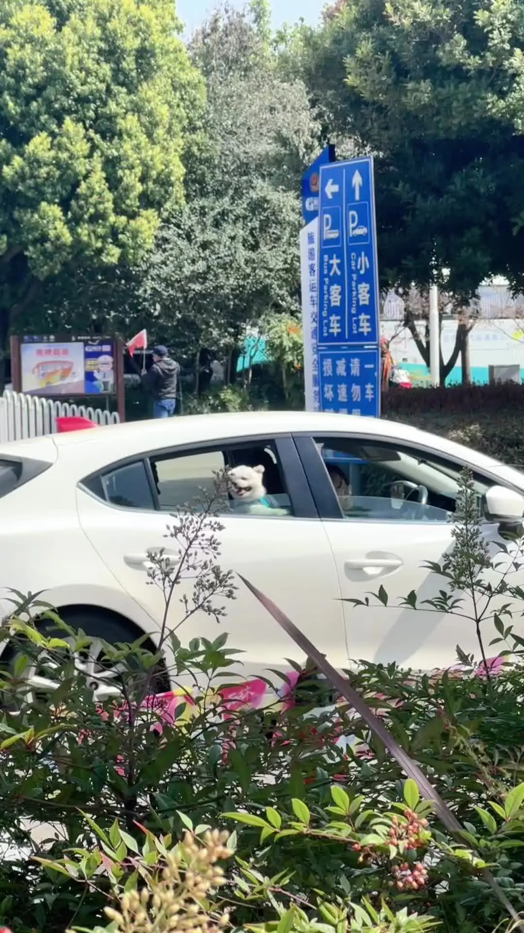 3月8日新疆大剧院到场女士门票买一送一 快私我买票吧me真的仙品千回西域