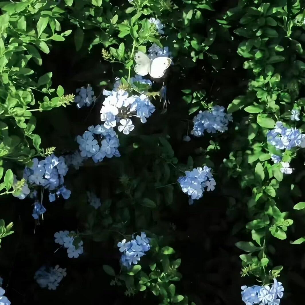 人民有信仰，国家有力量，民族有希望。要提高人民思想觉悟、道德水准、文明素养，提高