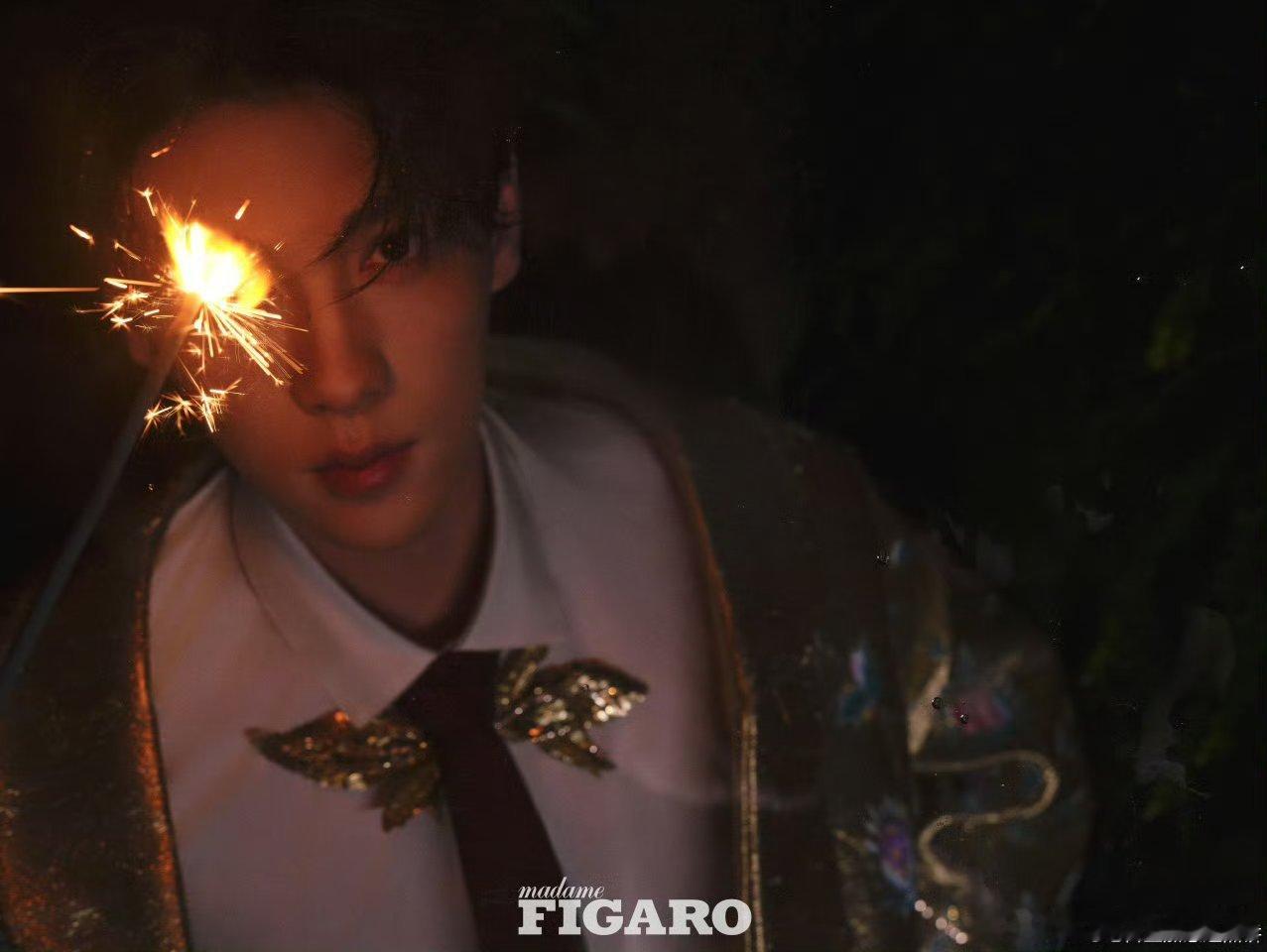 田栩宁费加罗金九杂志生日封面，拍的很华贵很契合[期待] ​​​