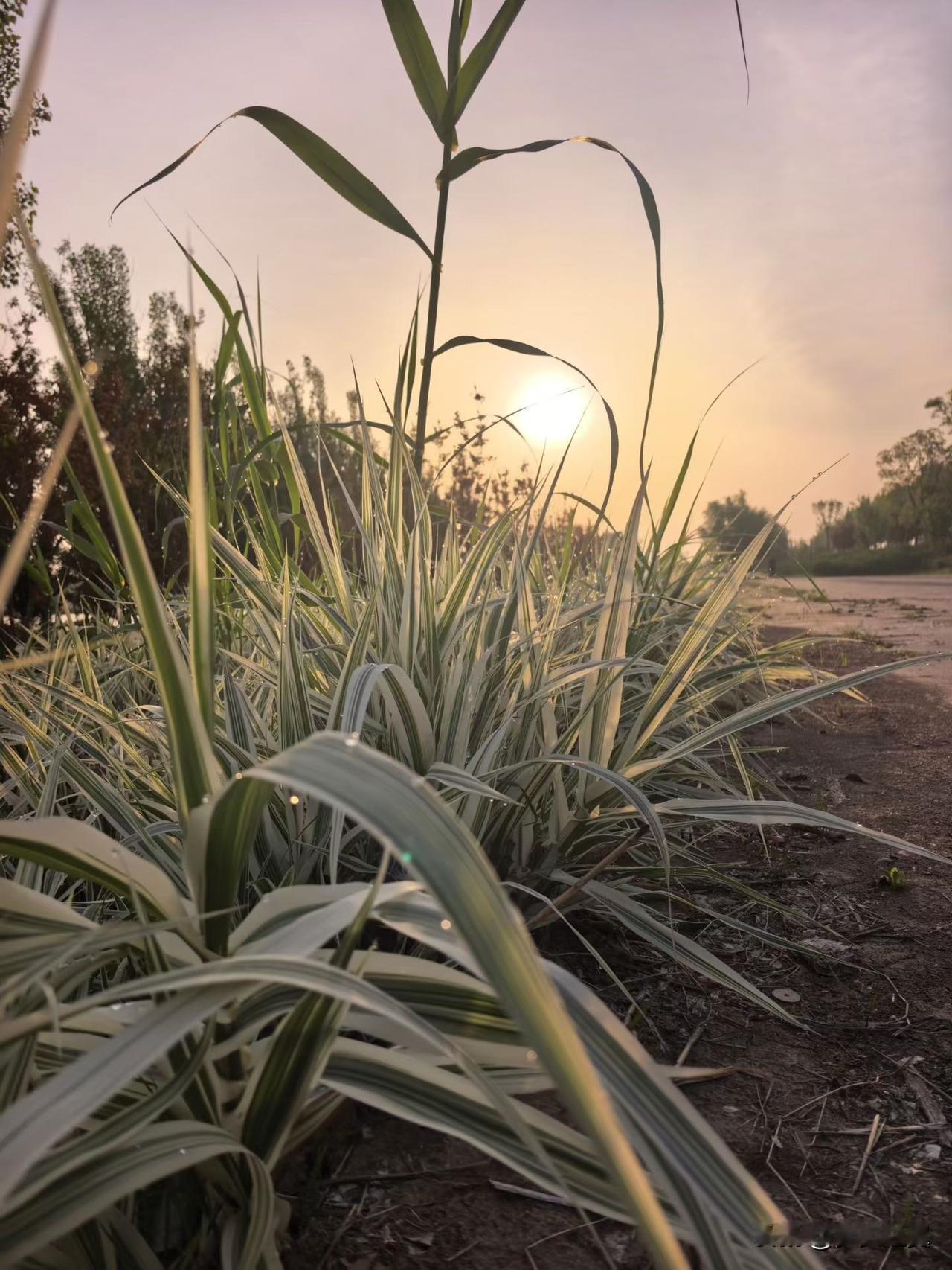 【小对联】
上：……？
下：阵营。