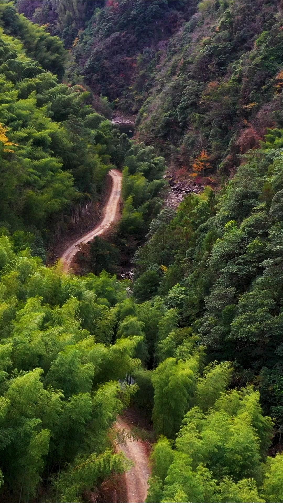 在宁波与台州交界的山水间，藏着一座连接两岸的永迎桥。东岸是宁波宁海县黄坛镇，西岸
