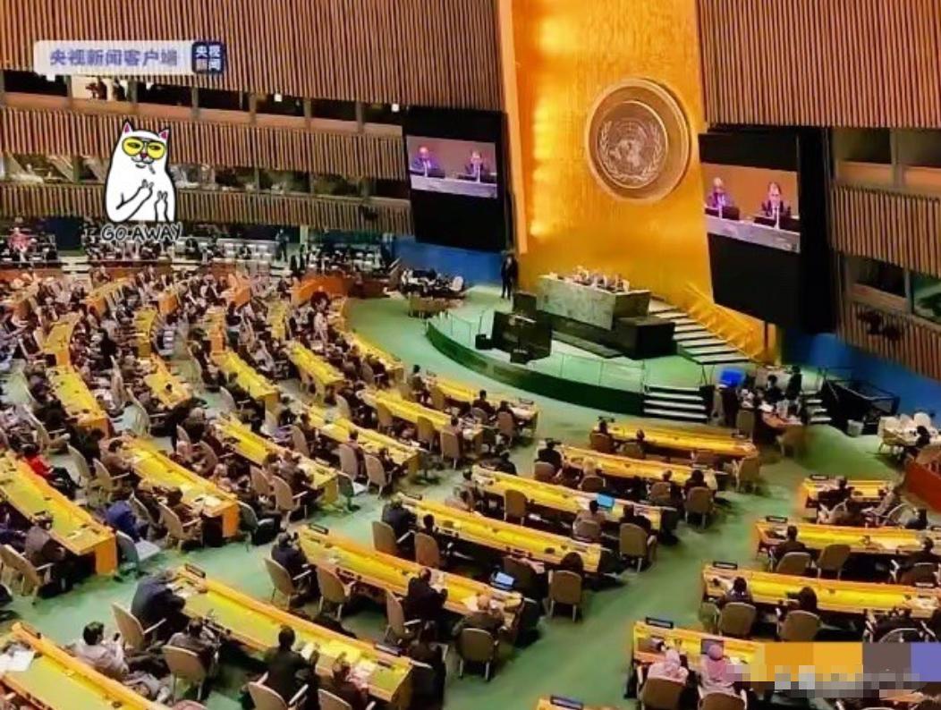 15票全票通过！联合国终于立下死规矩，中方把话彻底挑明：谁敢对维和部队下黑手，追