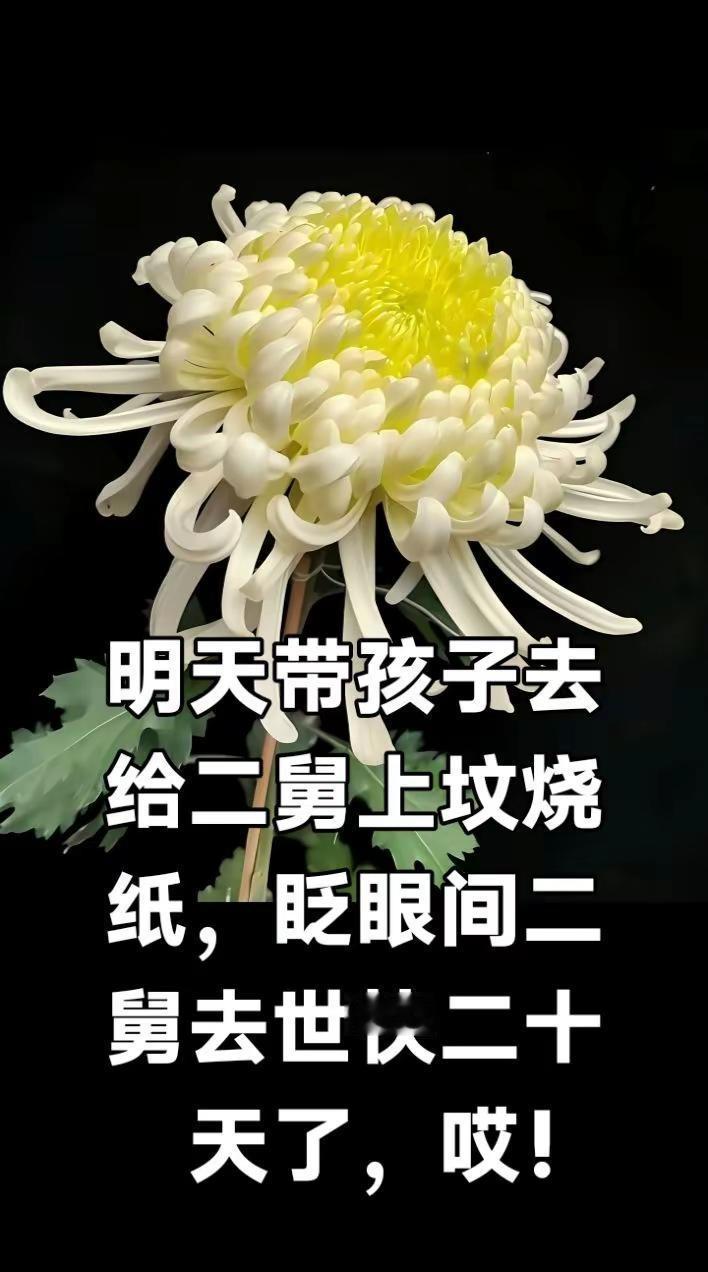 祭祀 上坟烧钱 民间风俗传统文化