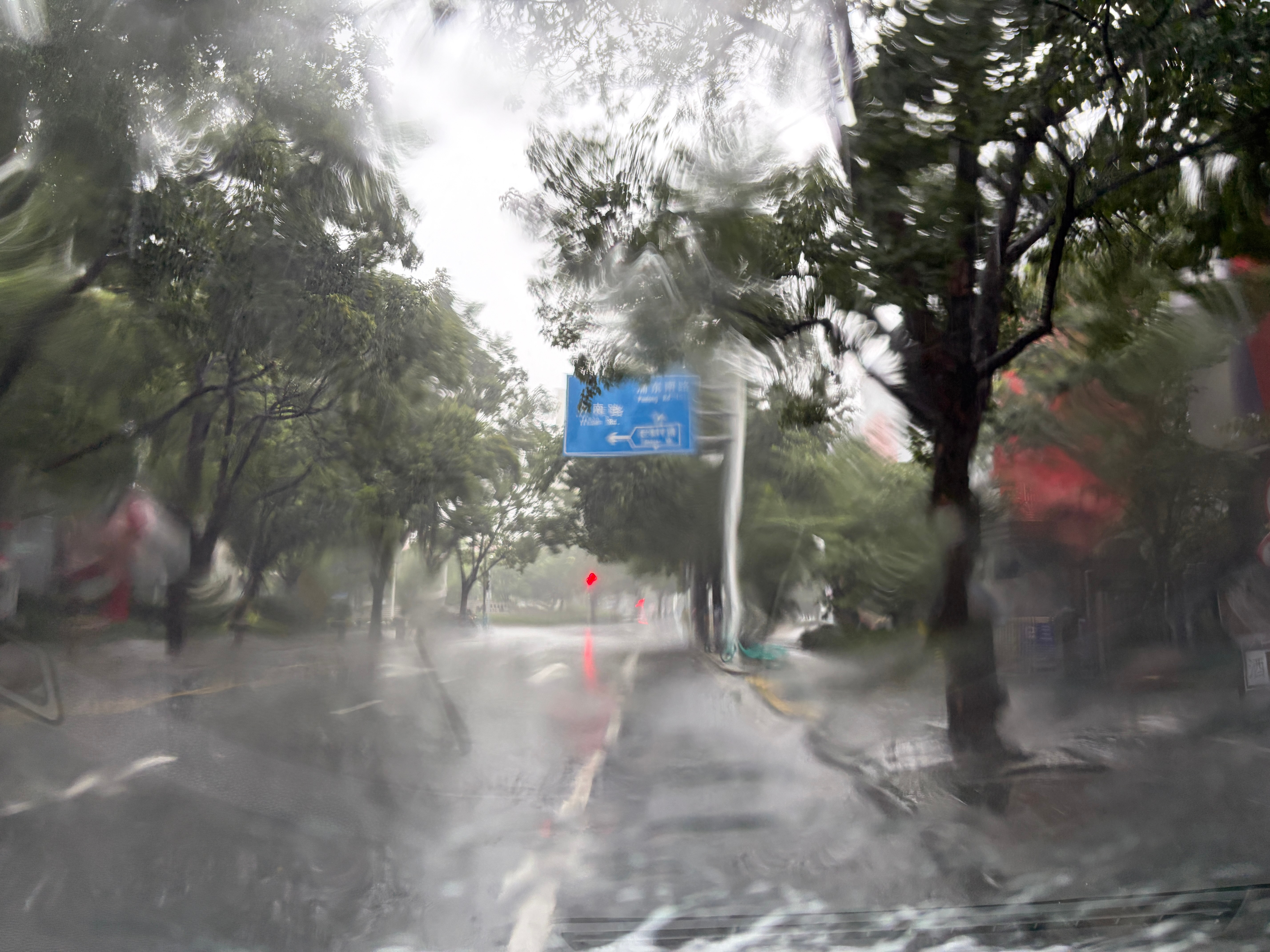 台风天出门上海台风 上海·南码头