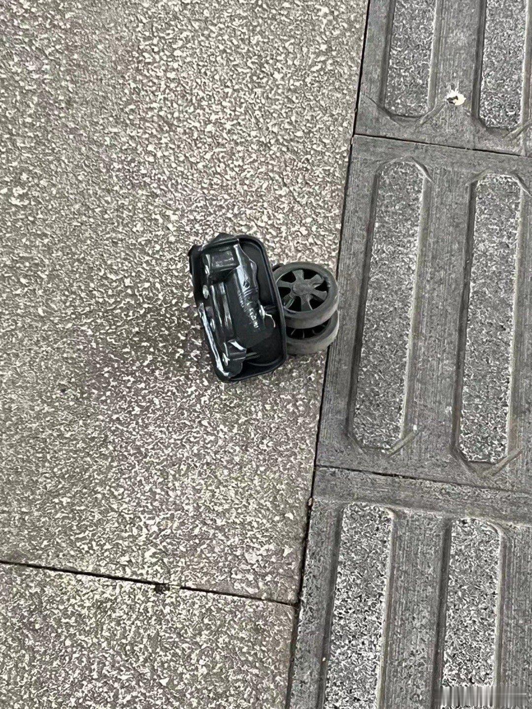 猜猜刚才在路上看到了什么[偷笑][偷笑][偷笑] ​​​
