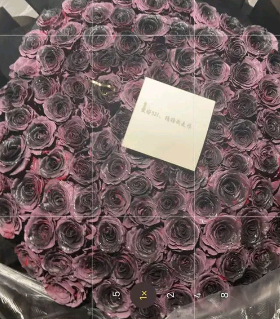 小黄豆520收到一束油漆花什么都是为了仪式感，只会害了你！ 像这种花没有天生的，