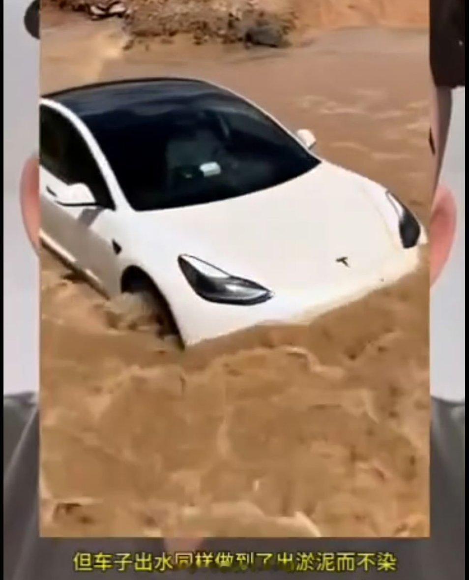 靠北，这可是“呆弟”…《那能一样吗？》