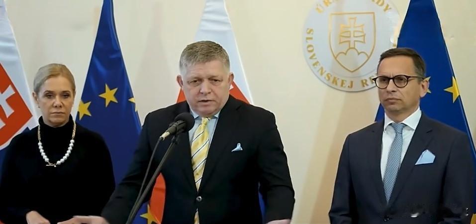 斯洛伐克总理菲佐:“乌克兰需要斯洛伐克的电力来稳定其系统，今年一月，输往乌克兰的