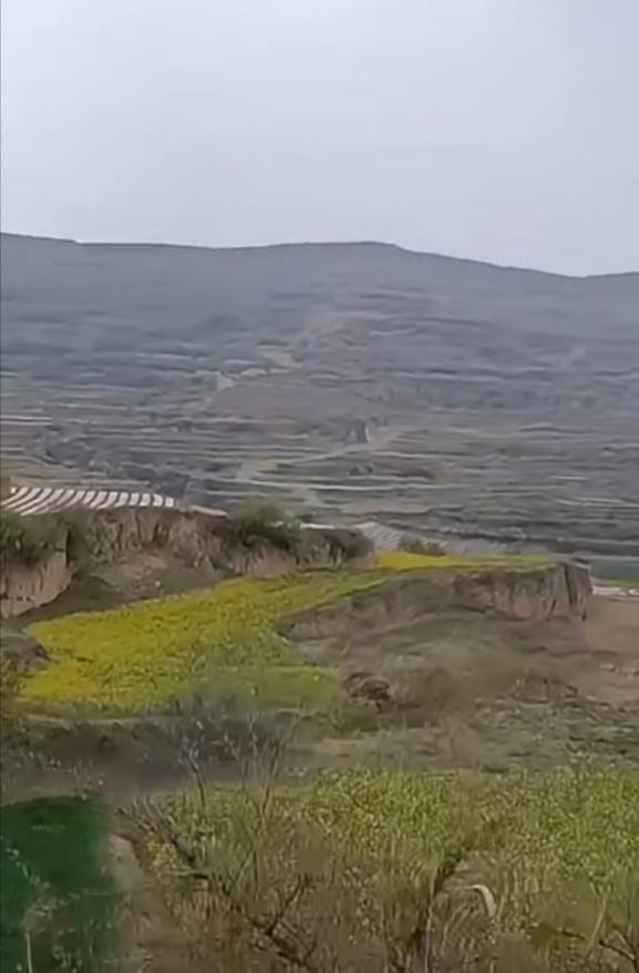 春意盎然，大地回春，在这万物复苏，绿上山头的时刻，大自然用春为笔，为我们描绘了一