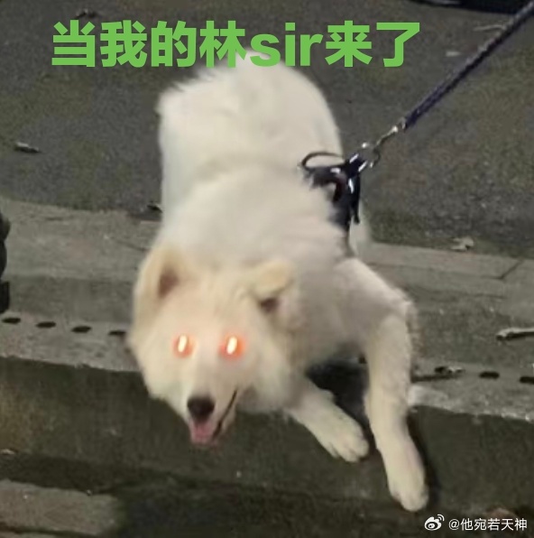 当我的林sir出现时 