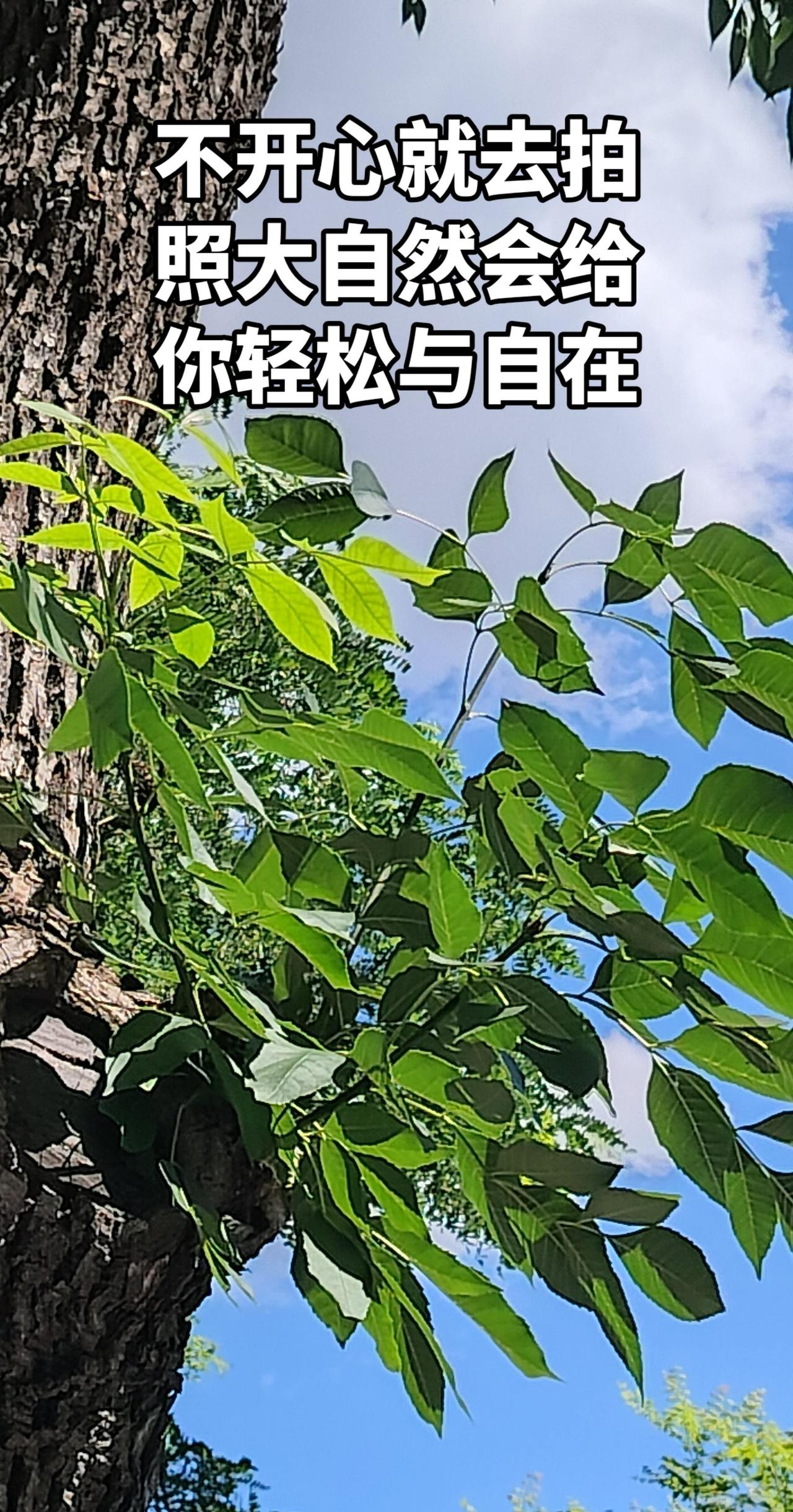 真实生活分享计划自然景观实拍 自然之镜